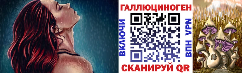 гидра tor  Луза  Галлюциногенные грибы Psilocybine cubensis 
